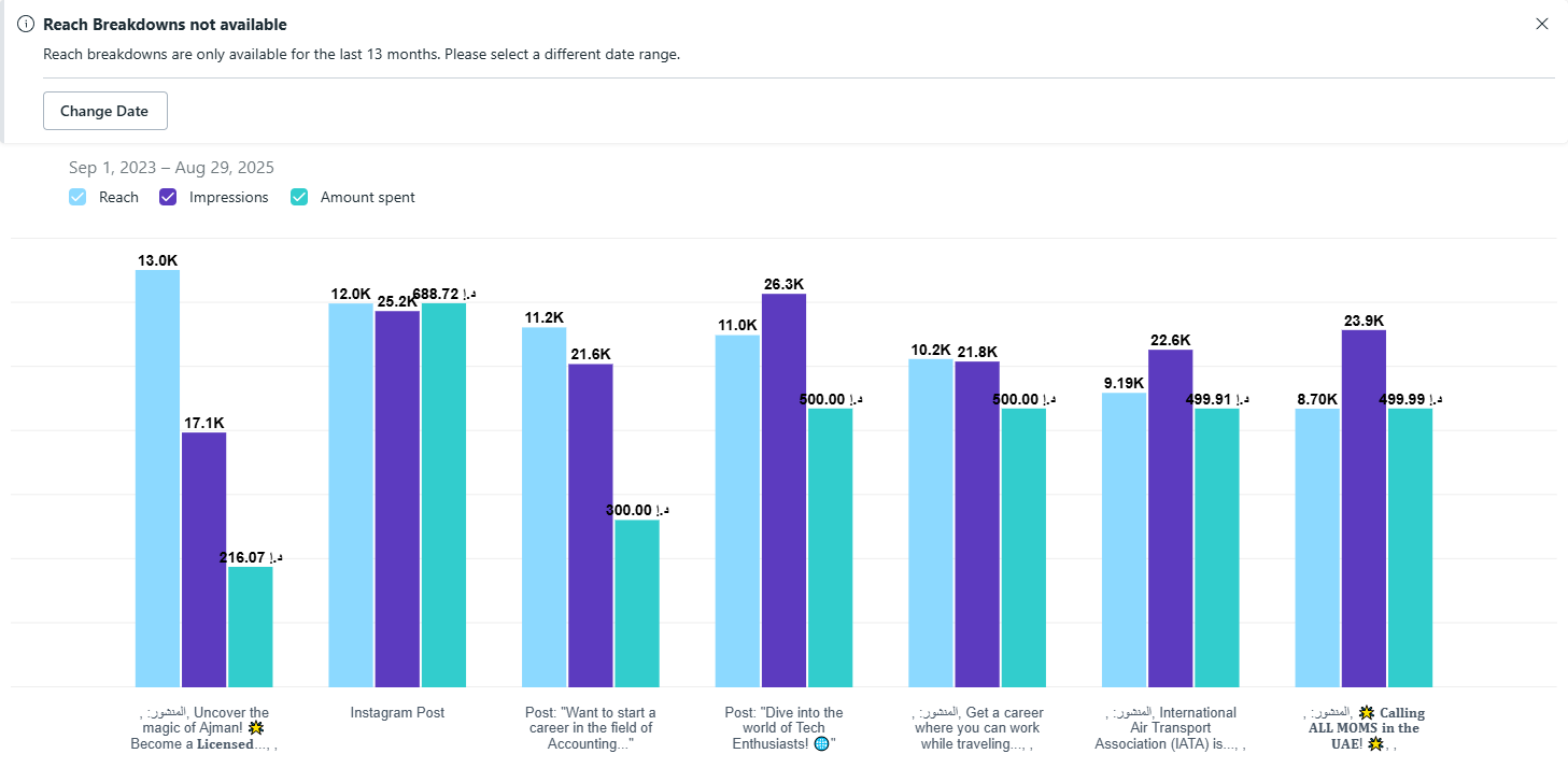 Meta Ads Manager campaign report